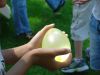 DSC08221.JPG