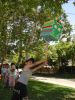 DSC08230.JPG