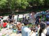 DSC08271.JPG